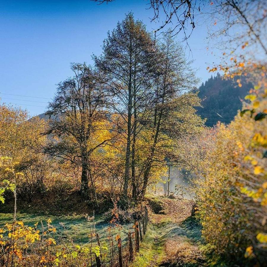 SinglesMoulin Des Borderies住宿加早餐旅馆 外观 照片